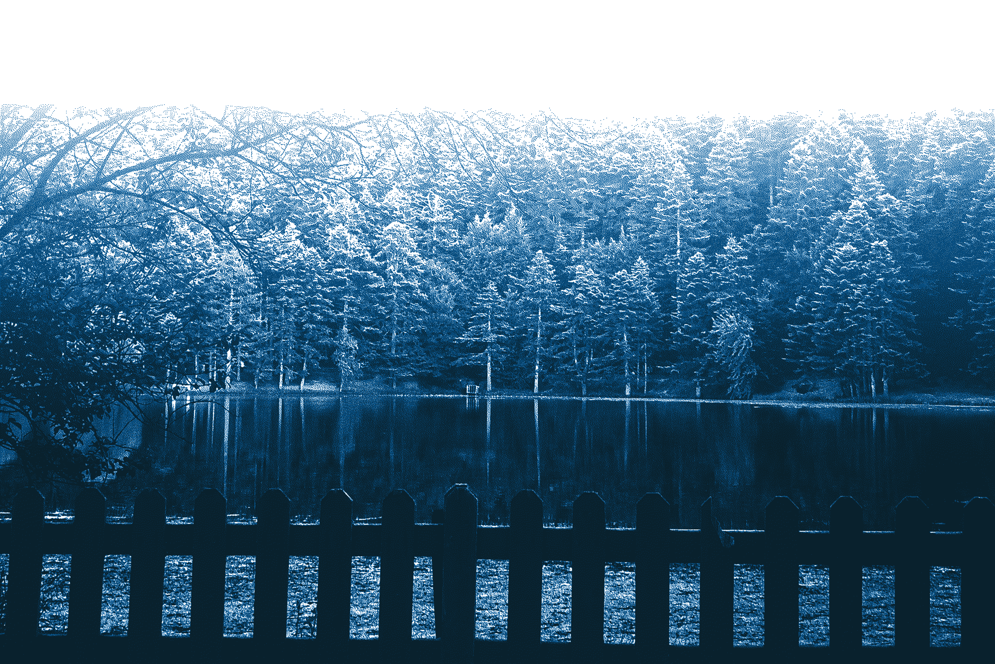 A pond surrounded by a fence.